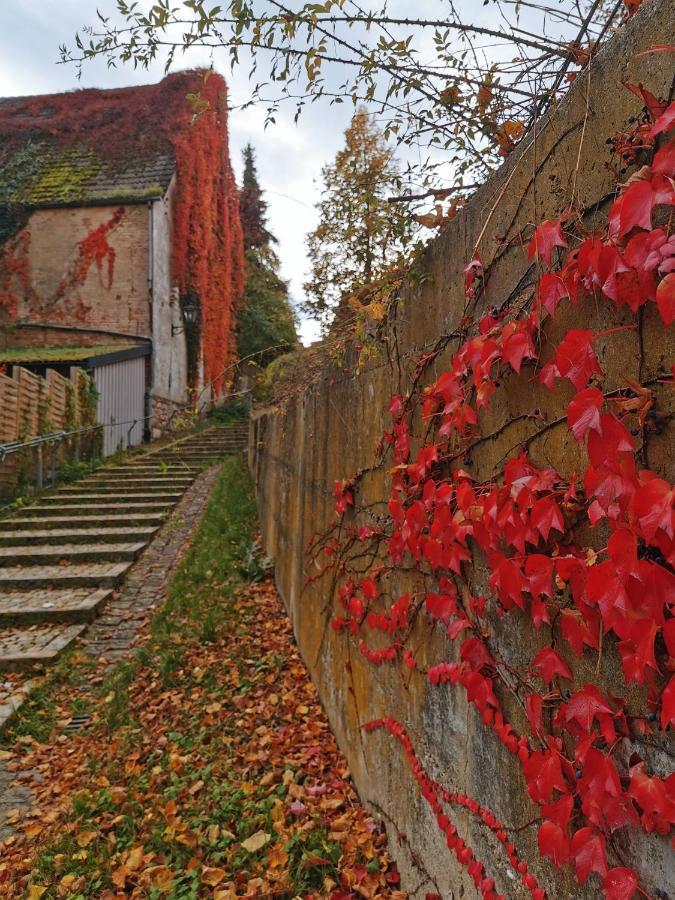 Gaestezimmer Reitinger Siegenburg Kültér fotó